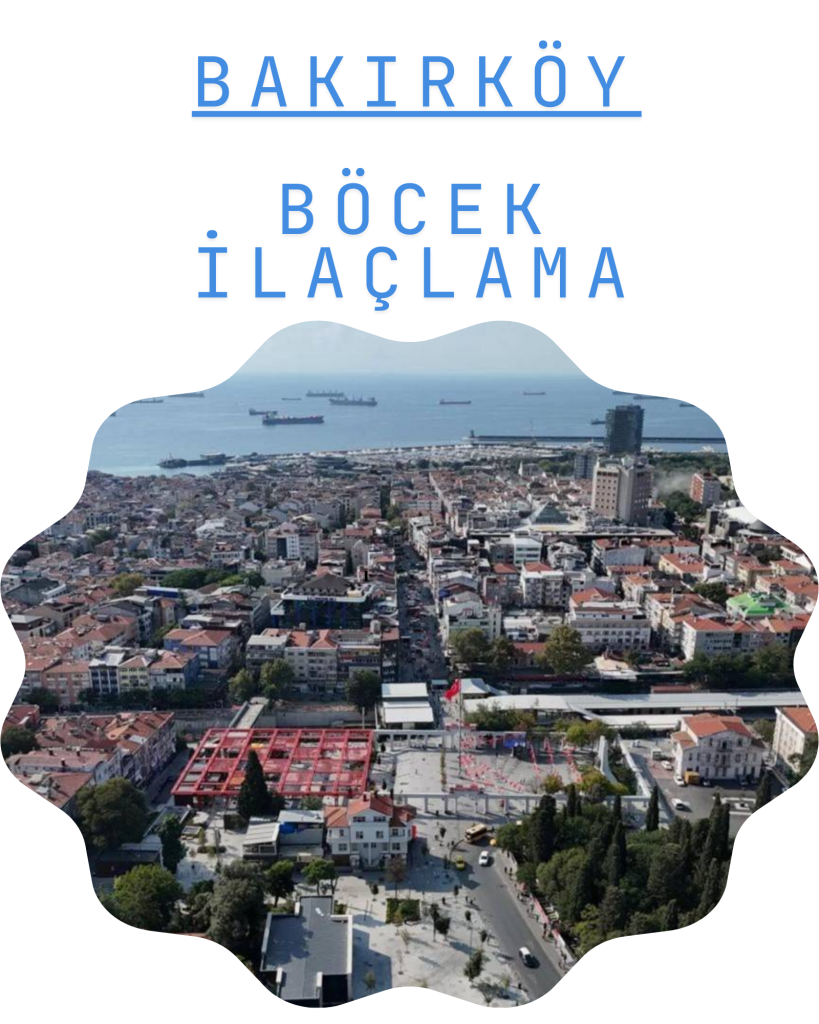 Bakırköy Böcek İlaçlama